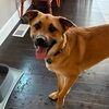kleinmar000